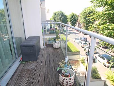 Picture 12
